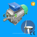 Top Quality Permanent Magnet Generator with Low Rpm